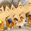 2009 carnevale (12)